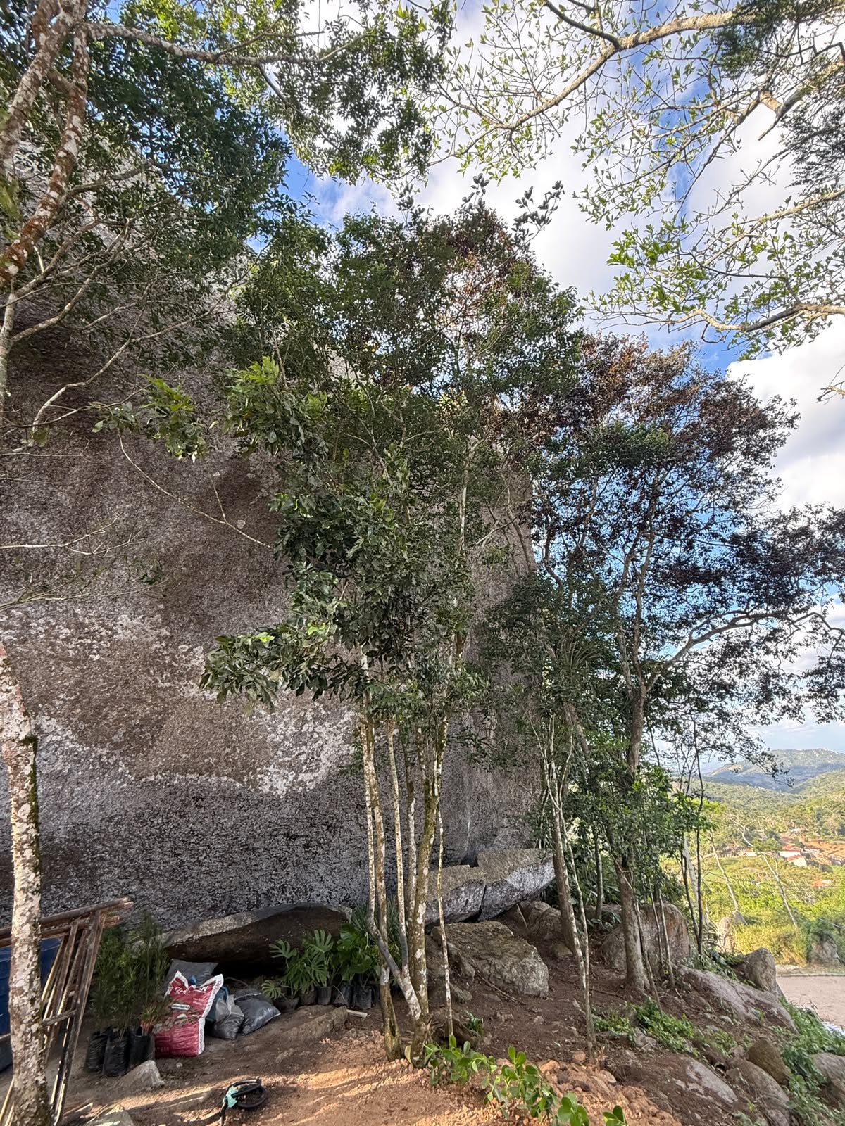 Formação rochosa com a mata nativa preservada, atrás das cabanas (outubro de 2026)